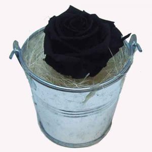 livraison dans la france de roses noires